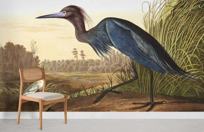 Animal | Vintage Audubon Bird Illustration Mural Wallpaper 1ft² Navy and Beige Animal Animal