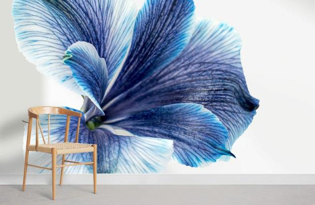 Flower | Blue Blooming Floral Mural Wallpaper 1ft² Blue and White Flower Blue & White