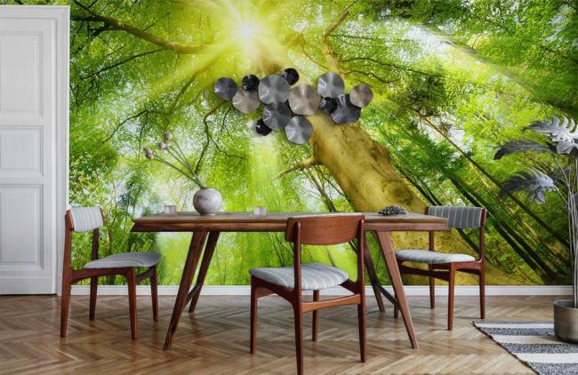 Forest | Enchanted Forest Sunbeam Mural Wallpaper 1ft² Green Forest Forest