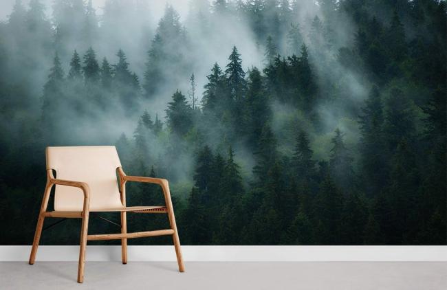 Forest | Misty Forest Scene Landscape Mural Wallpaper 1ft² Emerald Green Forest Emerald Green