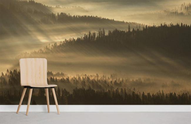 Forest | Misty Forest Sunrise Mural Wallpaper 1ft² Beige Forest Beige