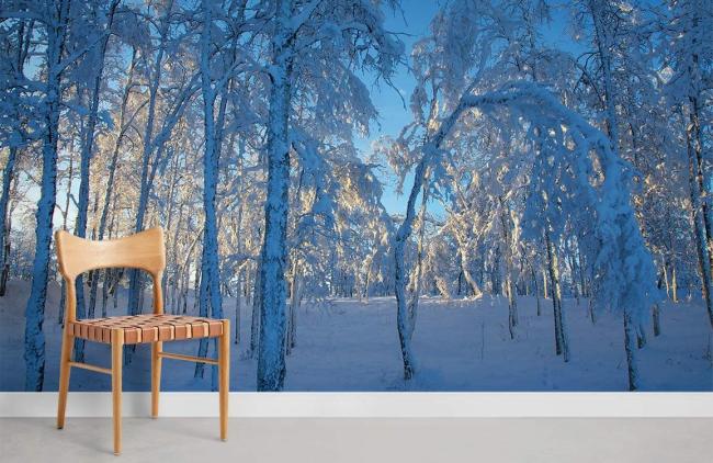 Forest | Serene Winter Forest Landscape Wall Mural 1ft² Blue and White Forest Blue & White