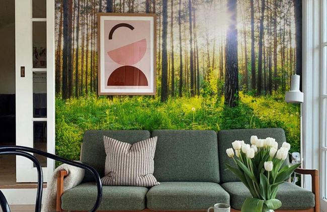 Forest | Sunlit Forest Scenery Wallpaper Mural 1ft² Green Forest Forest