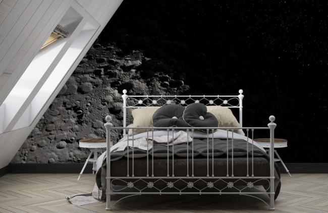 Space & Galaxy | Moody Monochrome Lunar Landscape Mural Wallpaper 1ft² Black and Grey Nature & Landscape Black & Grey