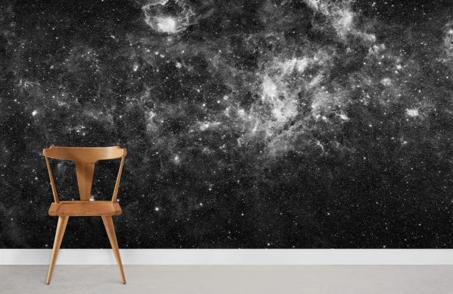 Space & Galaxy | Starry Night Sky Black Mural Wallpaper 1ft² Black Nature & Landscape black