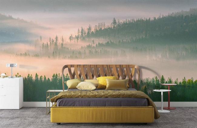 Forest | Misty Forest Dawn Scenery Mural Wallpaper 1ft² Green Forest Forest