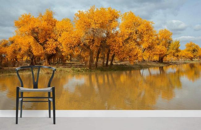 Forest | Autumnal Golden Forest River Mural Wallpaper 1ft² Golden Orange Forest Forest