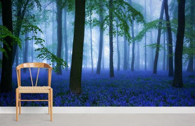 Forest | Enchanted Forest Bluebell Mural Wallpaper 1ft² Blue Forest Blue